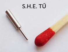 Év terméke díj - HIMG - S.H.E. hajbeültetési módszer