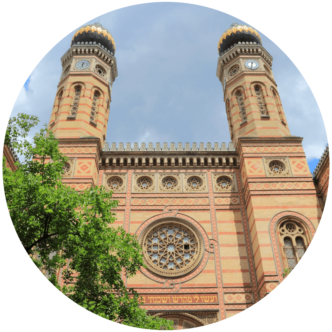HIMG Hair Transplant Clinic Budapest, Hungary